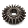 Bevel Gear